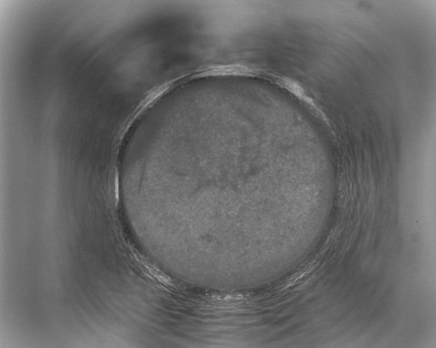 X0000067851221200605041707