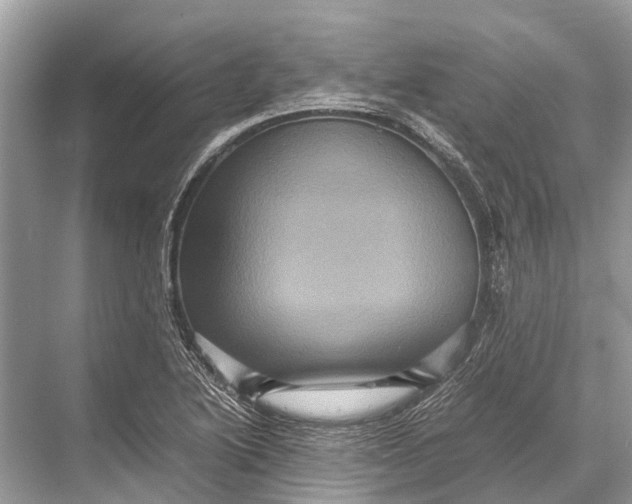 X0000067851222200605041707