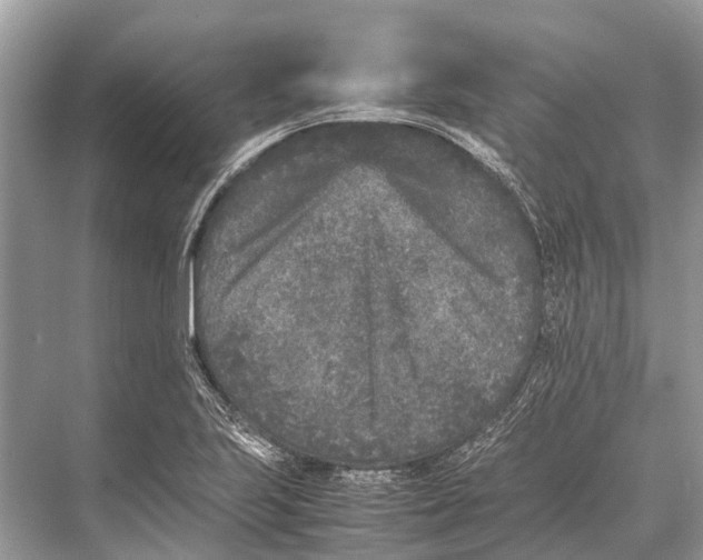 X0000067851223200605041707