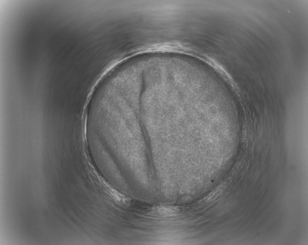 X0000067851224200605041707