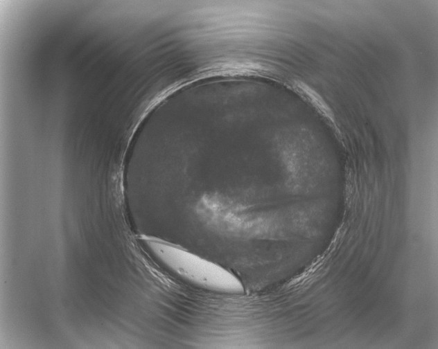 X0000067851226200605041707