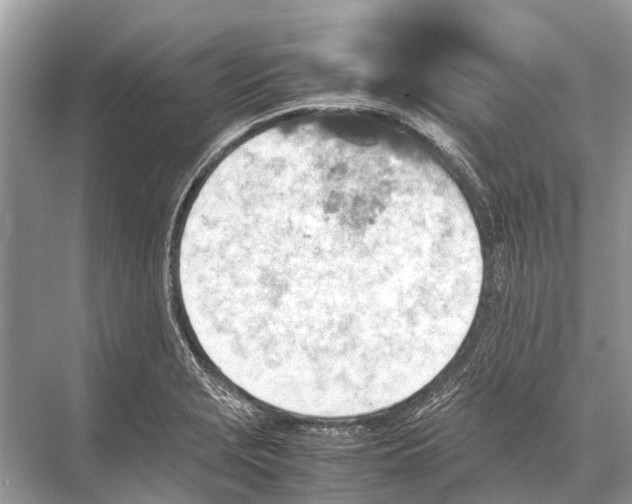 X0000067851229200605041707