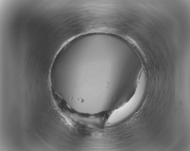 X0000067851230200605041707