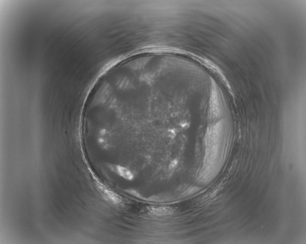 X0000067851231200605041707