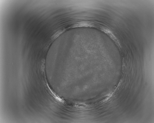 X0000067851233200605041707