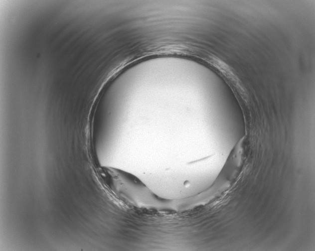 X0000067851234200605041707