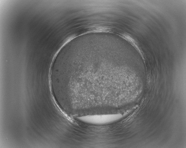 X0000067851235200605041707