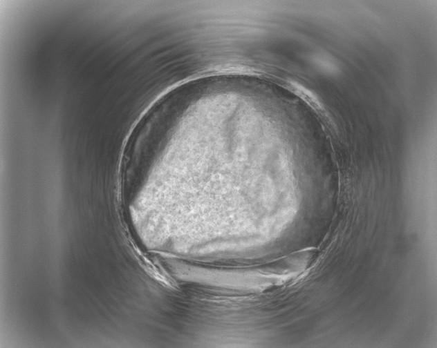 X0000067851236200605041707