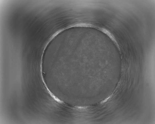 X0000067851237200605041707