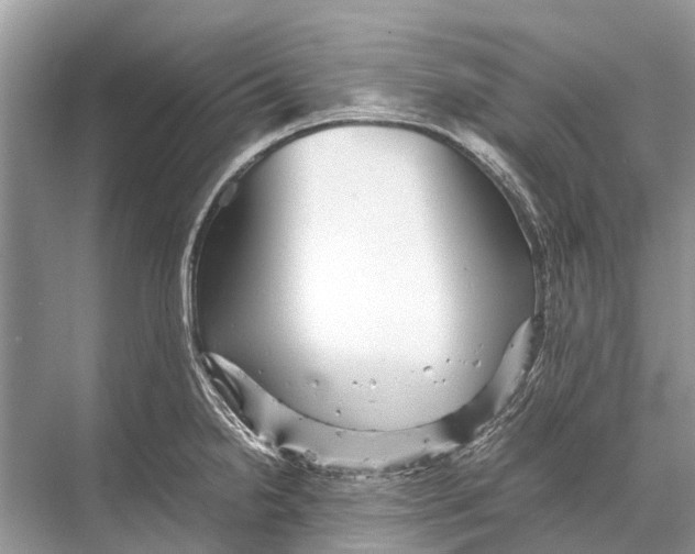 X0000067851238200605041707