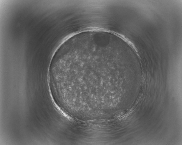 X0000067851239200605041707