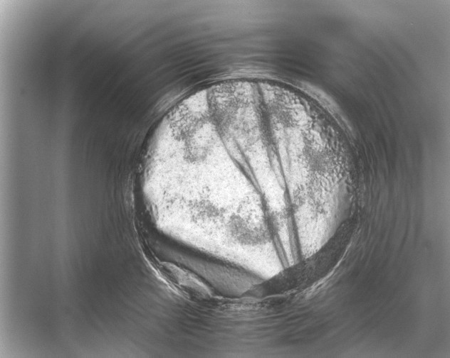 X0000067851241200605041707