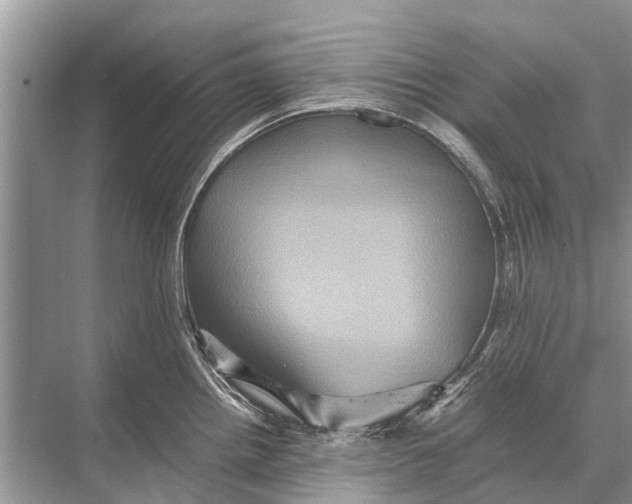 X0000067851242200605041707