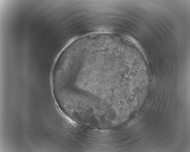 X0000067851243200605041707