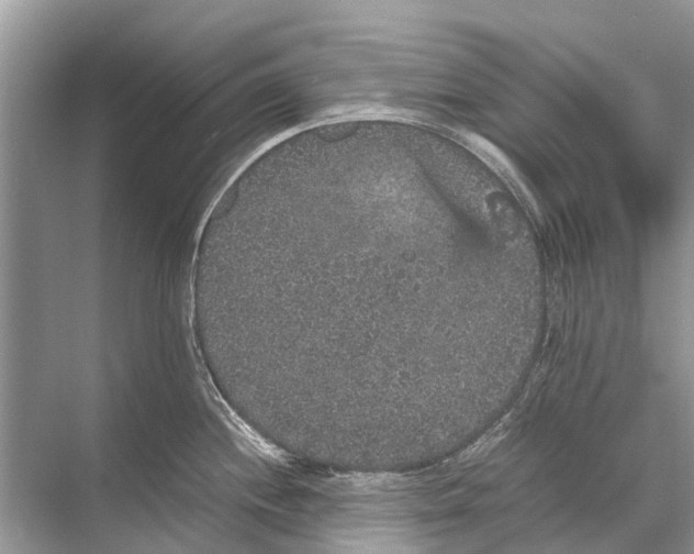 X0000067851244200605041707