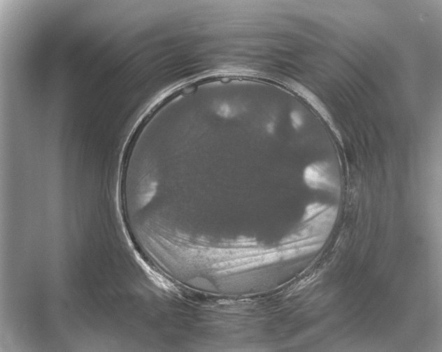 X0000067851245200605041707