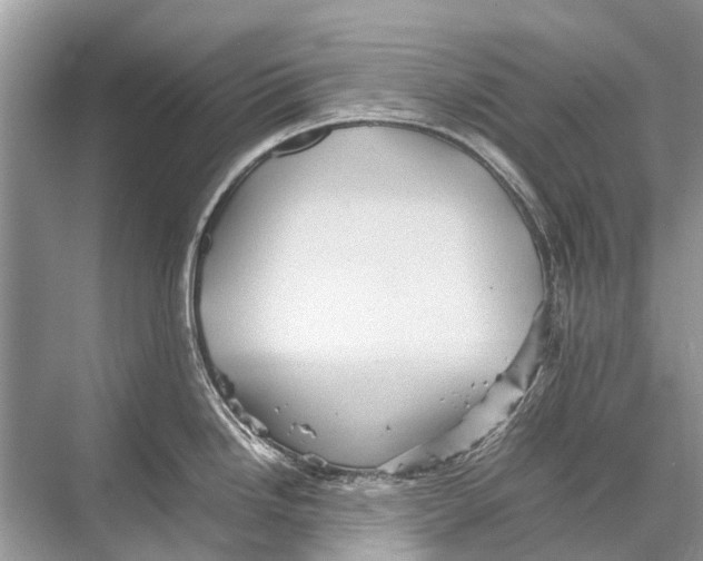 X0000067851246200605041707