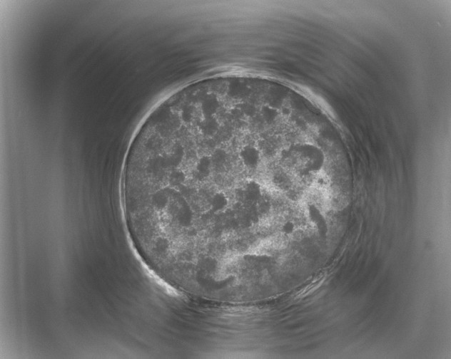 X0000067851247200605041707