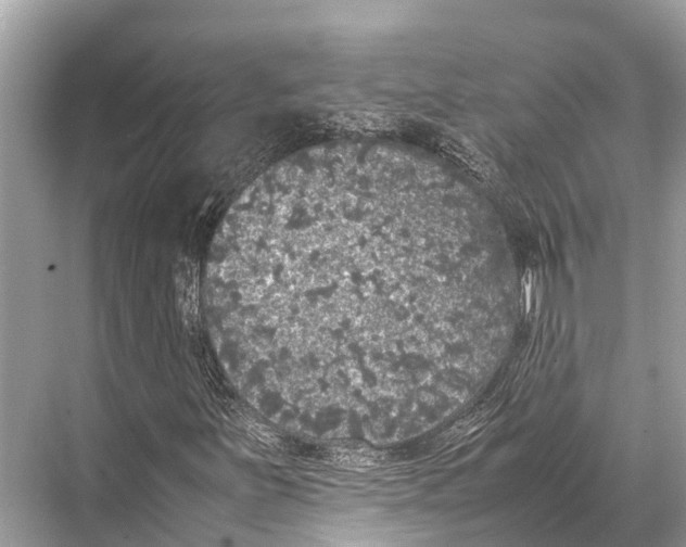 X0000067851251200605041706