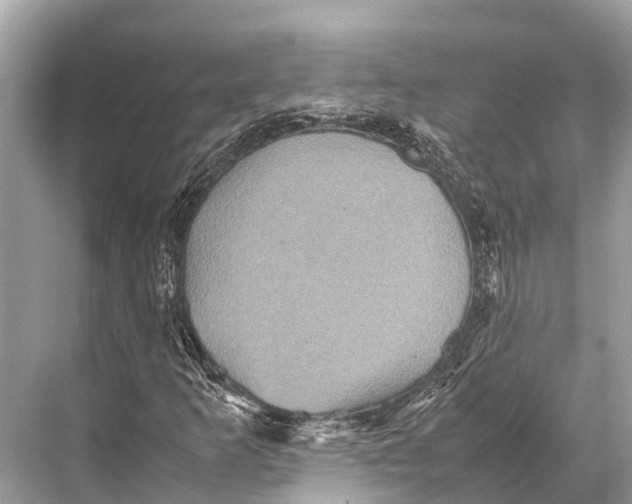 X0000067851253200605041706