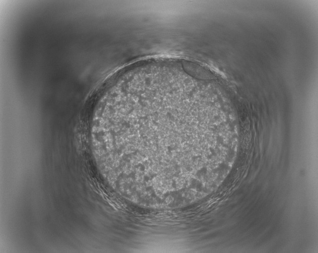 X0000067851255200605041706