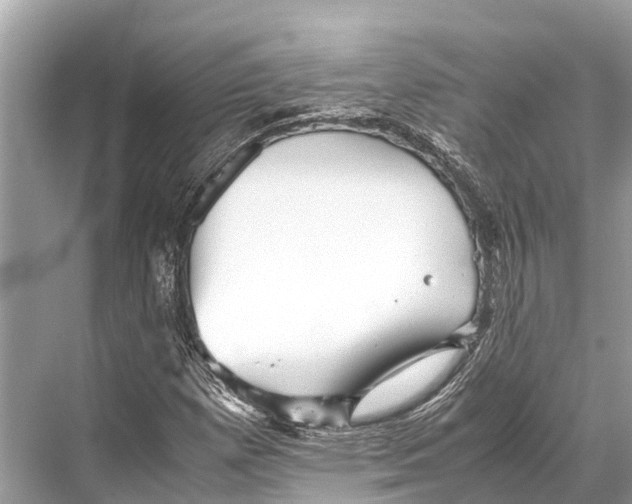 X0000067851257200605041706