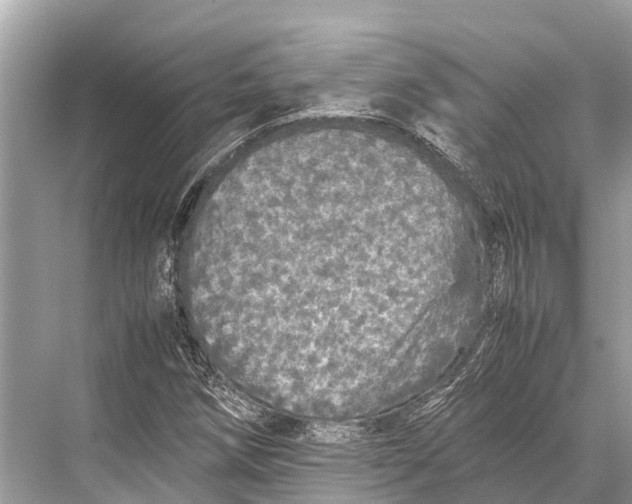 X0000067851258200605041706