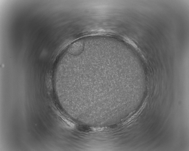 X0000067851259200605041706