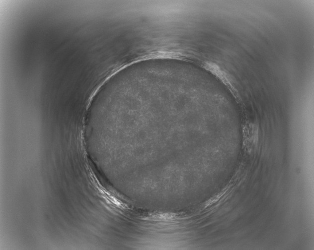 X0000067851260200605041706