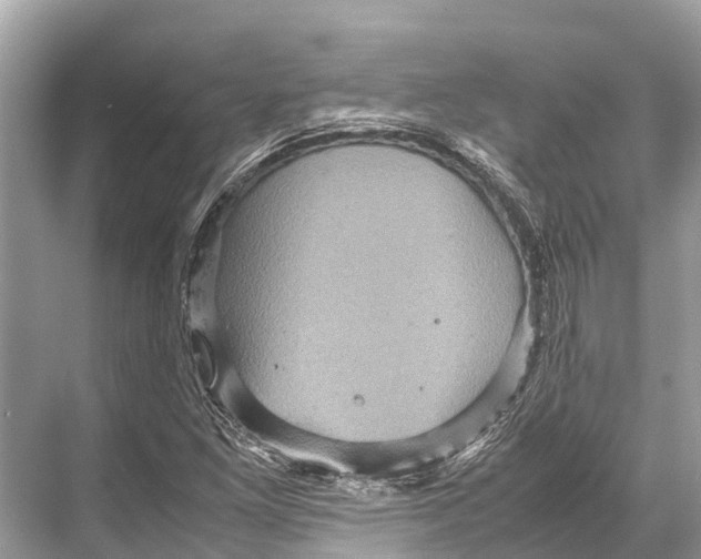 X0000067851261200605041706