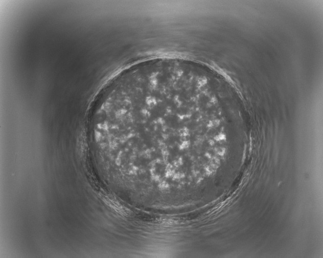 X0000067851263200605041706