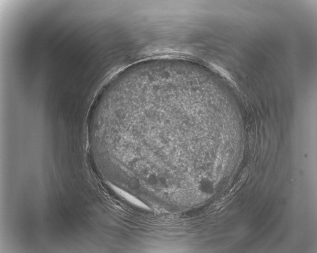 X0000067851267200605041706