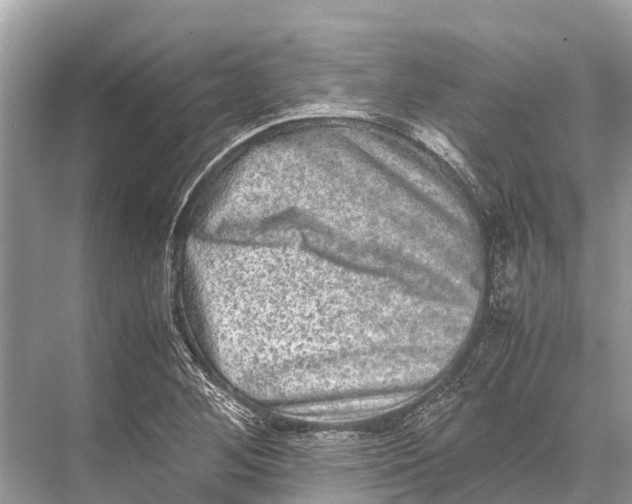 X0000067851268200605041706