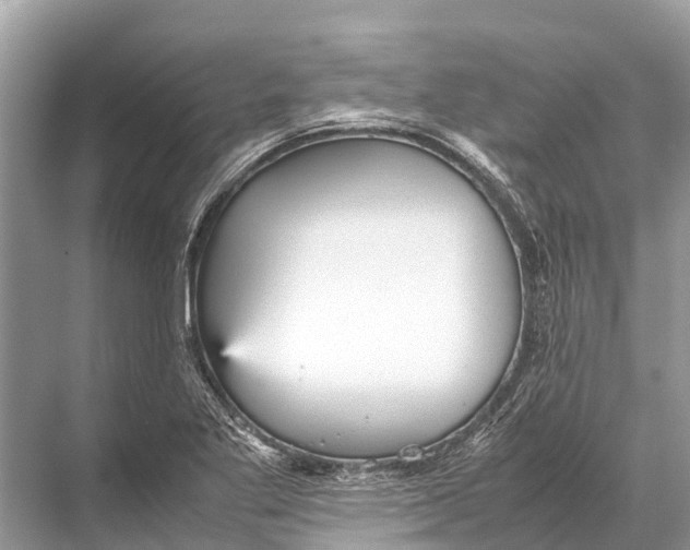 X0000067851269200605041706