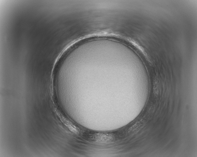 X0000067851270200605041706