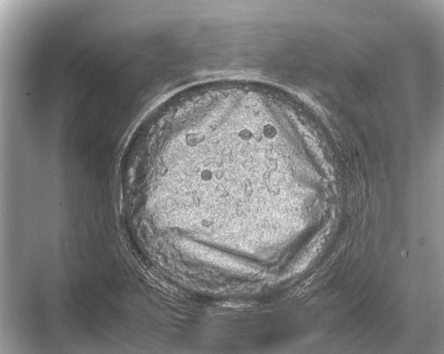 X0000067851271200605041706