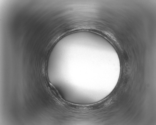 X0000067851273200605041706