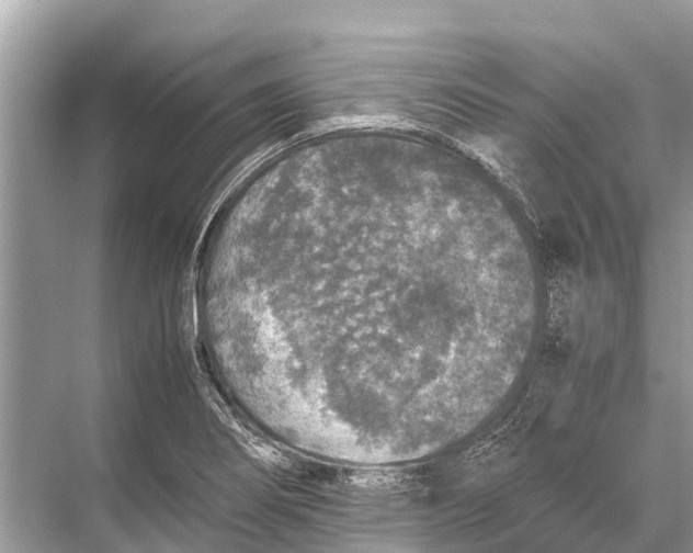 X0000067851274200605041706