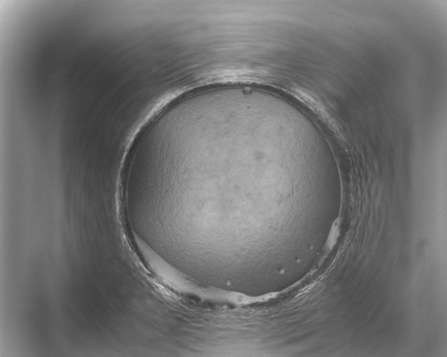 X0000067851277200605041706