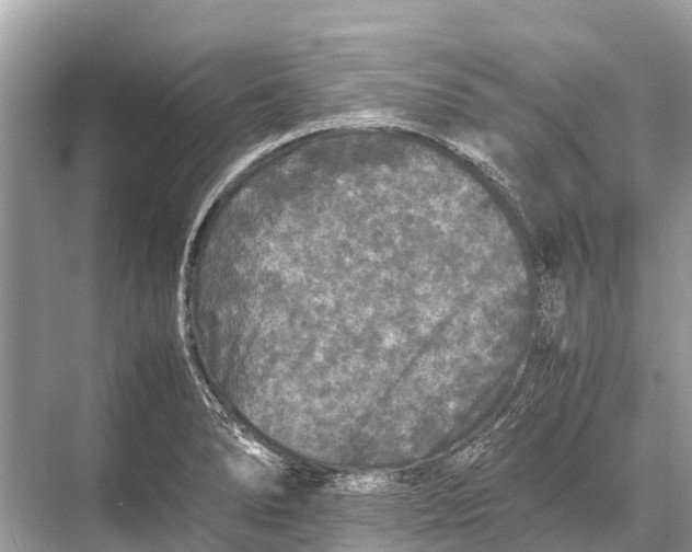 X0000067851278200605041706