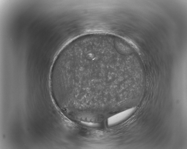 X0000067851279200605041706