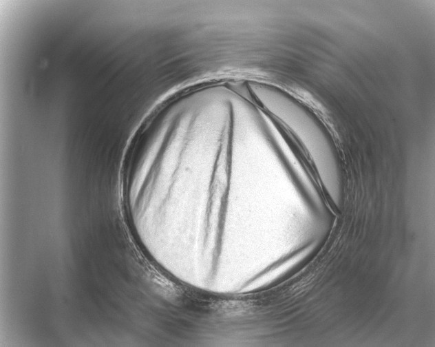 X0000067851280200605041706