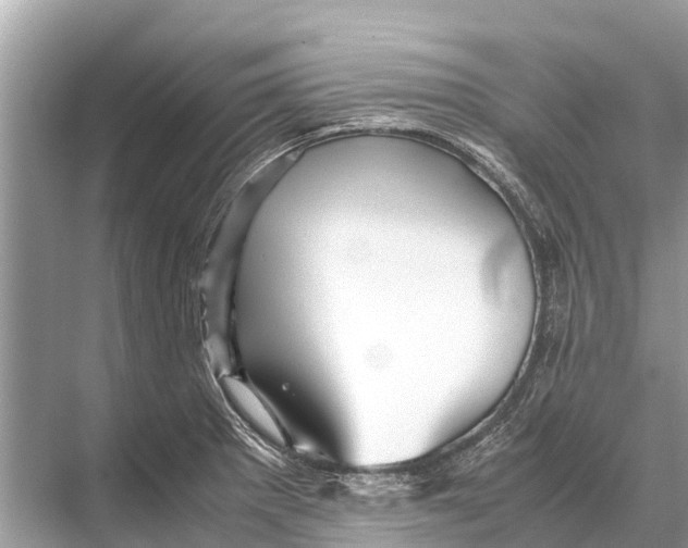 X0000067851281200605041706