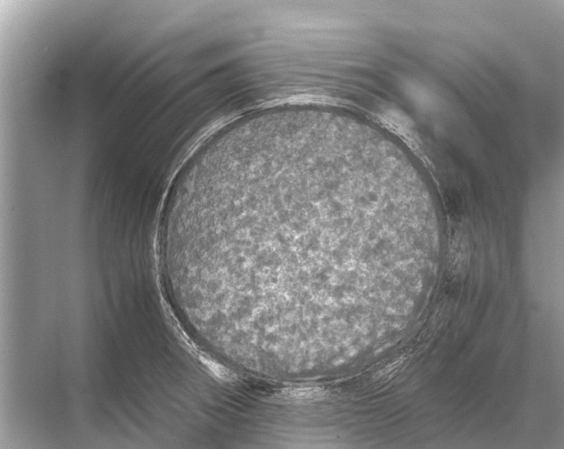 X0000067851282200605041706