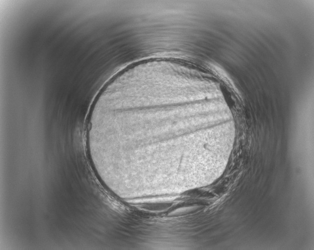 X0000067851284200605041706