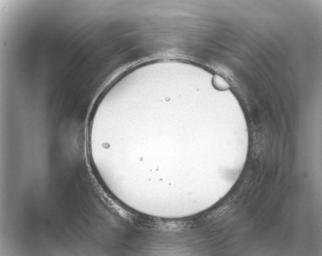 X0000067851286200605041706