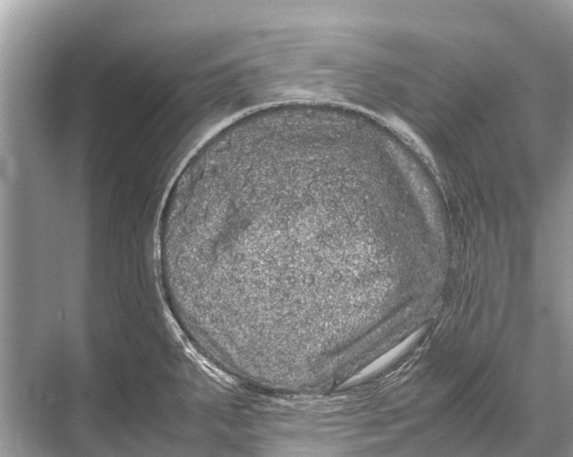 X0000067851287200605041706