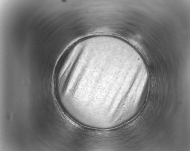 X0000067851288200605041706