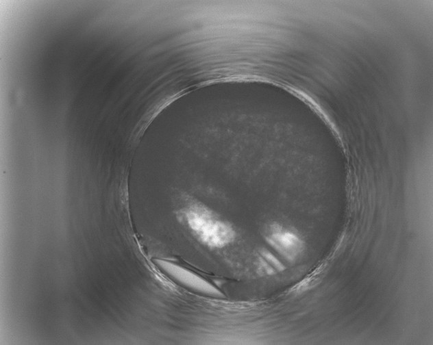 X0000067851289200605041705