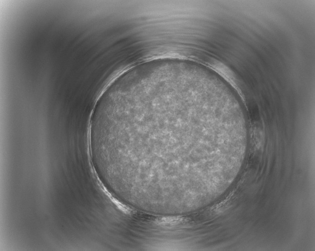 X0000067851290200605041705